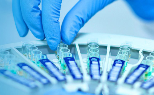 大宝娱乐-LG游戏|PT游戏|CQ9游戏