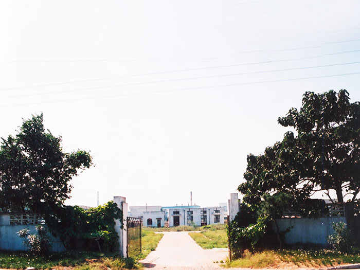 大宝娱乐-LG游戏|PT游戏|CQ9游戏